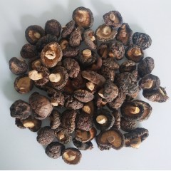 佑康泰 香菇干 250g/袋 小香菇香菇干香菇香菇火锅食材菌菇干货