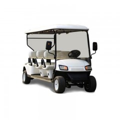 金海科 6+2座 电动四轮巡逻车 带雨帘 60V 1辆