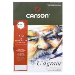 康颂 CANSON CàGRAIN绘画艺术纸袋水彩纸收纳纸袋220GA3(297X420MM)8张/袋