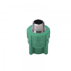 伟星 PPR水管配件 外丝直接25/6分×1/2 绿色（1个）