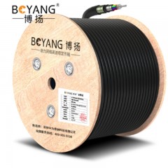 ☆博扬 BOYANG BY-GYTA53-12B1.3 12芯单模室外光缆 GYTA53层绞式直埋网线光纤线 100米