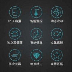 西门子 SIEMENS BCD-313（KG32EV2S0C） 313升 定频 电脑控温 冰箱