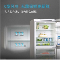 西门子 SIEMENS BCD-306W(KG32HA290C) 306升 定频 电脑控温 冰箱