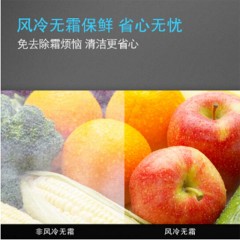 西门子 SIEMENS 279升双门冰箱全无霜多维出风节能保鲜 白色 KG29NV220C