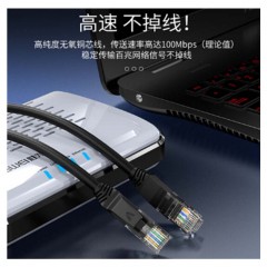 ☆胜为 SHENGWEI LC-2100C 超五类网线 百兆 10米 蓝色