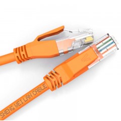 ☆胜为 SHENGWEI LC-2100D 超五类网线 8芯RJ45网络超5类网线 10米 百兆纯铜彩色成品网线 电脑笔记本网线