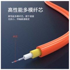 ☆胜为 SHENGWEI FMC-601 电信级光纤跳线 优质进口插芯 SC-SC多模双芯 收发器尾纤 10米