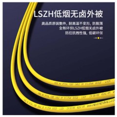 ☆胜为 SHENGWEI FSC-509 电信级光纤跳线 优质进口插芯 LC-ST单模双芯 收发器尾纤 10米