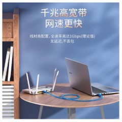 ☆胜为 SHENGWEI LC-6030H 六类网线 纯铜千兆8芯双绞网络跳线 3米 白色 高速彩色网络连接线 千兆网线