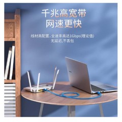 ☆胜为 SHENGWEI LC-6050H 六类网线 纯铜千兆8芯双绞网络跳线 5米 白色 高速彩色网络连接线 千兆网线