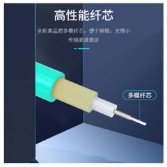 ☆胜为 SHENGWEI FOC-1150 电信级万兆光纤跳线 LC-LC网线多模双芯OM3 15米