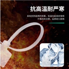 ☆海乐 HAILE ZD-B20-100 专业尼龙标牌扎线带 标签扎带 多功能绑带（长*宽MM）200MM*4 100根