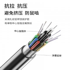 ☆博扬 BOYANG BY-GYTS-24B1 铠装24芯单模室外光缆 GYTS层绞式架空/管道网线光纤线 100米