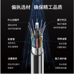 ☆博扬 BOYANG BY-GYTS-24B1 铠装24芯单模室外光缆 GYTS层绞式架空/管道网线光纤线 100米