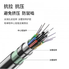 ☆博扬 BOYANG BY-GYTA53-48B 层绞式直埋网线光纤线 2000米轴 48芯