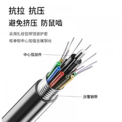 ☆博扬 BOYANG BY-GYTS-48B1 铠装48芯单模室外光缆 GYTS层绞式 3000米/轴 48芯