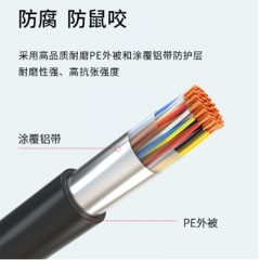 ☆博扬 BOYANG BY-CAT5-SW100X-100M 室外大对数线缆