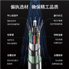 ☆博扬 BOYANG BY-GYTA53-12B1.3 12芯单模室外光缆 GYTA53层绞式直埋网线光纤线 100米