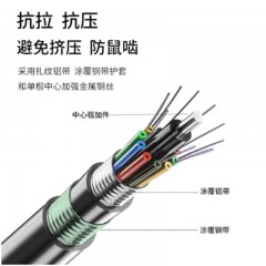 ☆博扬 BOYANG BY-GYTA53-96B1.3 96芯单模室外光缆 GYTA53层绞式直埋网线光纤线 100米