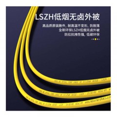 ☆胜为 SHENGWEI FSC-104 电信级光纤跳线 FC-ST单模单芯 收发器尾纤 3米