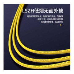 ☆胜为（SHENGWEI）FSC-105 电信级光纤跳线 ST-ST单模单芯 收发器尾纤 3米