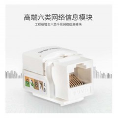 ☆胜为（SHENGWEI）SIM-601 六类千兆网络信息模块 工程级镀金 6类RJ45模块 CAT6模块 网络网线模块
