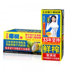 椰树牌 椰子汁245ml*24盒   100箱起订
