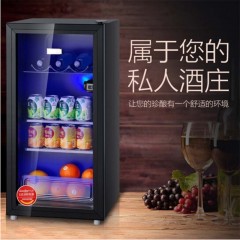 立式冰柜冰箱 志高冷藏冰箱  BC-98