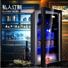 立式冰柜冰箱 志高冷藏冰箱  BC-98