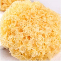 粤土越香 银耳 白木耳 古田银耳 【健康有机】80克/包（单位：包）