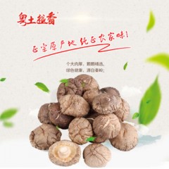 粤土越香 福建古田香菇干 肉厚无根  180g 230g香菇（单位：包）