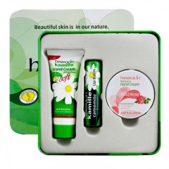 小甘菊 纪念礼盒B