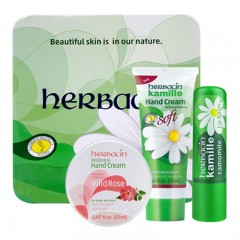 小甘菊 纪念礼盒B