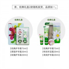 小甘菊 经典礼盒A