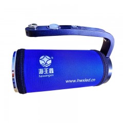 海王鑫 手提式防爆探照灯-USB充电 尾部带红色信号灯 RWX7102 单位：个