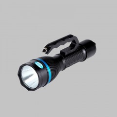 海王鑫 手提式防爆探照灯（新款式）RWX7102 单位：个