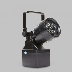 海王鑫 轻便式多功能强光灯 RWX5281 单位：个