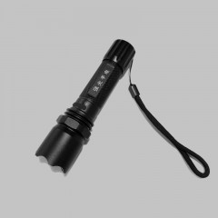 海王鑫 强光手电 RWX7621 单位：个