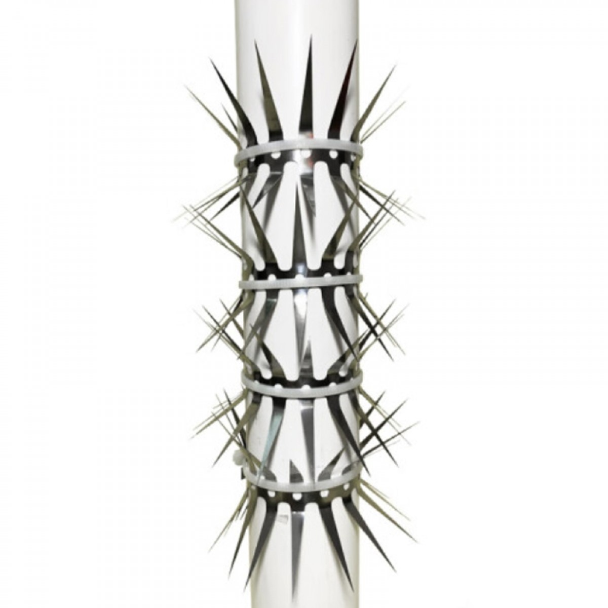 晟泰邦 水管防鼠网倒刺钉（1米）长大号  单位：米