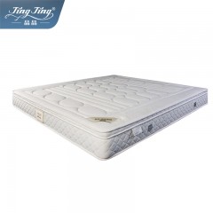 晶晶（JingJing）晶晶席梦思弹簧床垫加厚软硬两用椰棕床垫家用定制软硬适中床垫 C款（软椰棕+整网弹簧） 1500mm*2000mm 单位：张