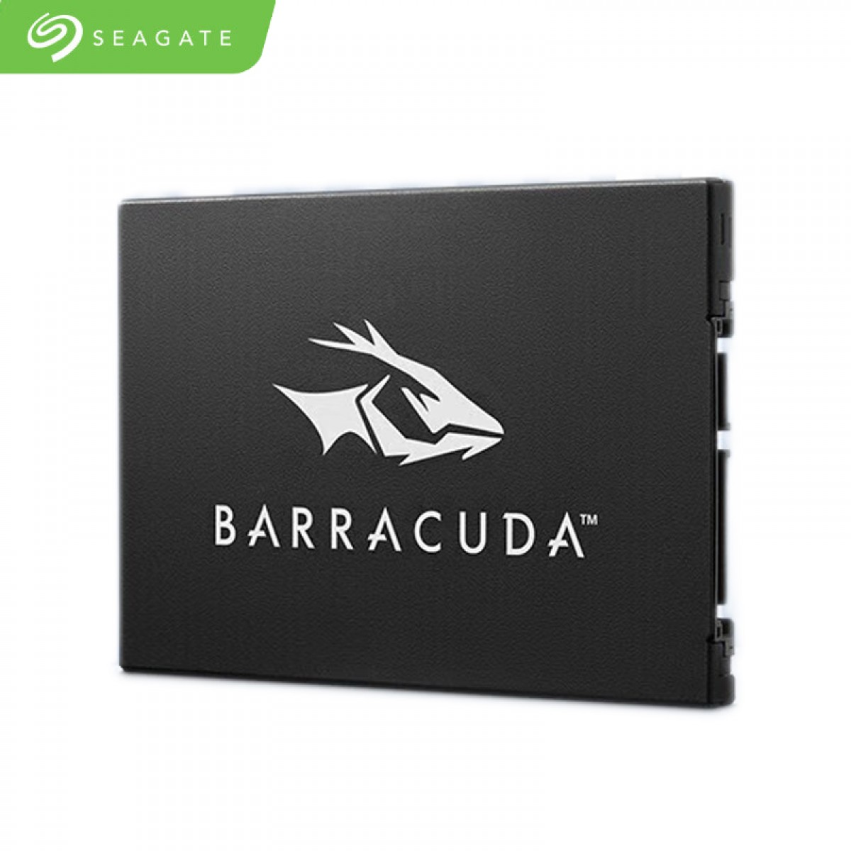 希捷（SEAGATE）酷鱼固态硬盘SSD台式机笔记本硬盘2.5英寸SATA3接口一体机升级扩容 【ZA512CV10002】512GB 单位：个