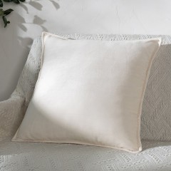 伊伊爱 BZ-9YH-002 水晶绒抱枕靠垫 45*45cm