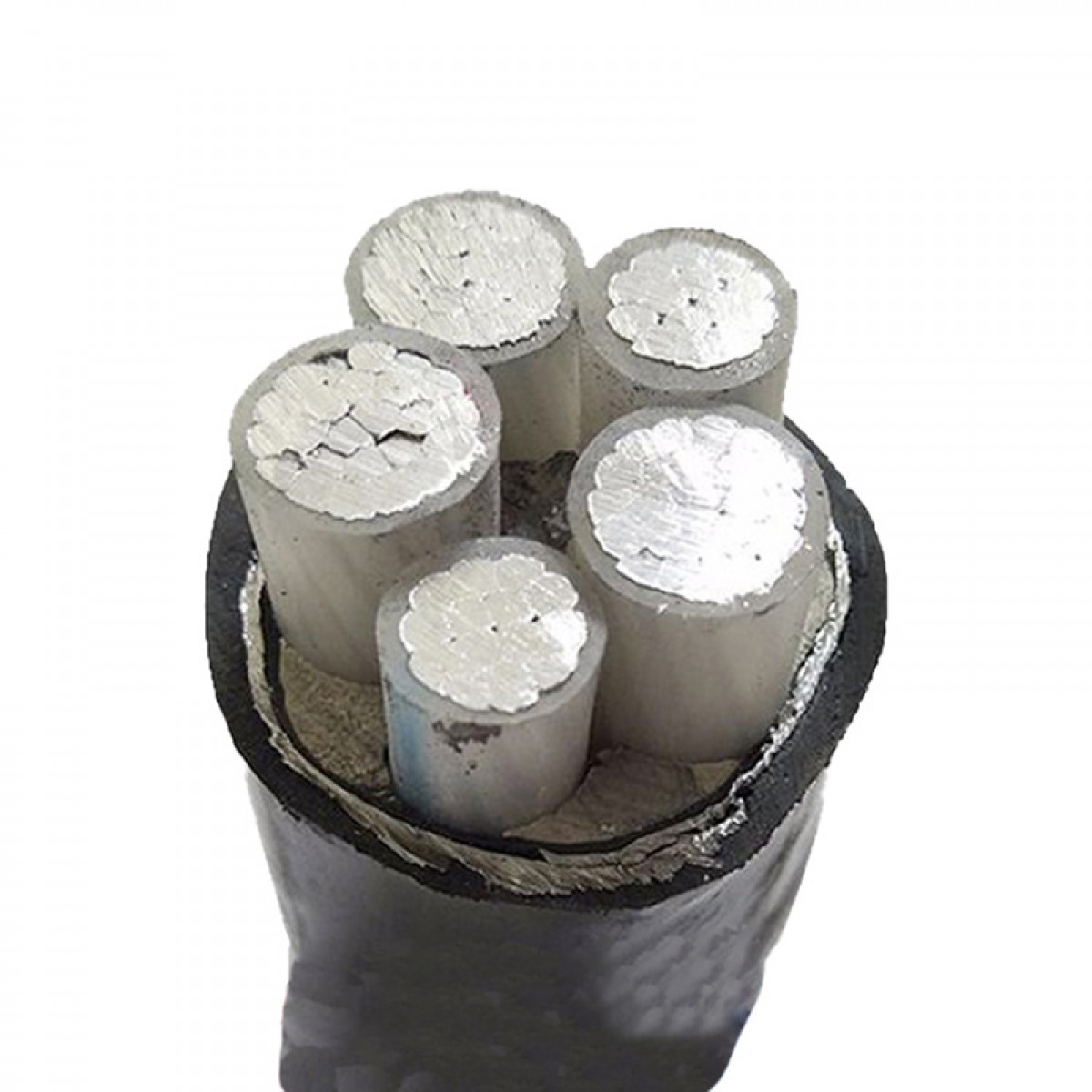 晟泰邦 铝芯电缆YJLV3*50+1*25 单位：米