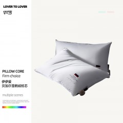 伊伊爱 贝加尔雪鹅绒枕芯 白色 48*74cm/ZX0YX02401263  单位：个