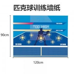 EUES 匹克球训练器专用墙纸板丁克纸练习提高击球手感运动体育用品 训练用纸【120*90】X1张 单位：张