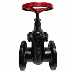 斯弗 闸阀 Z45T-10 DN100 单位：个